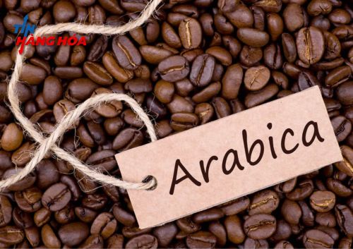 Giá cà phê hôm nay: Thị trường Việt Nam neo giá chờ tăng, Arabica thế giới chịu áp lực nguồn cung