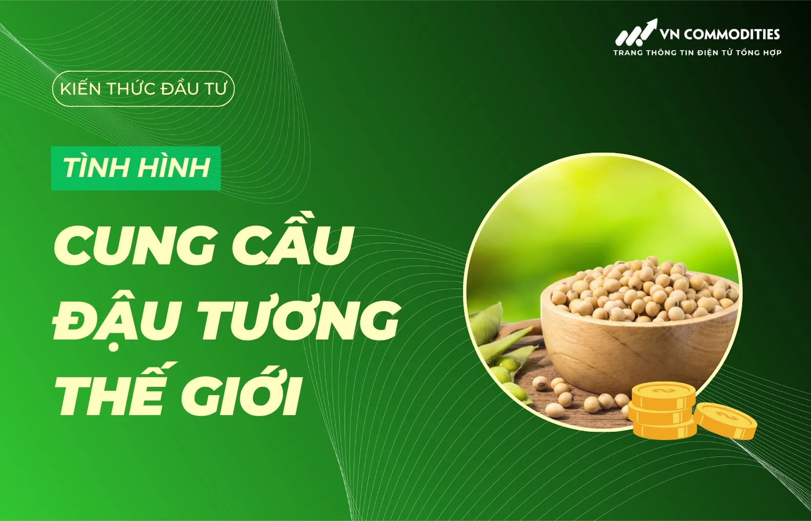 Cung cầu đậu tương thế giới: Thực trạng, xu hướng và tác động đến giá đậu tương