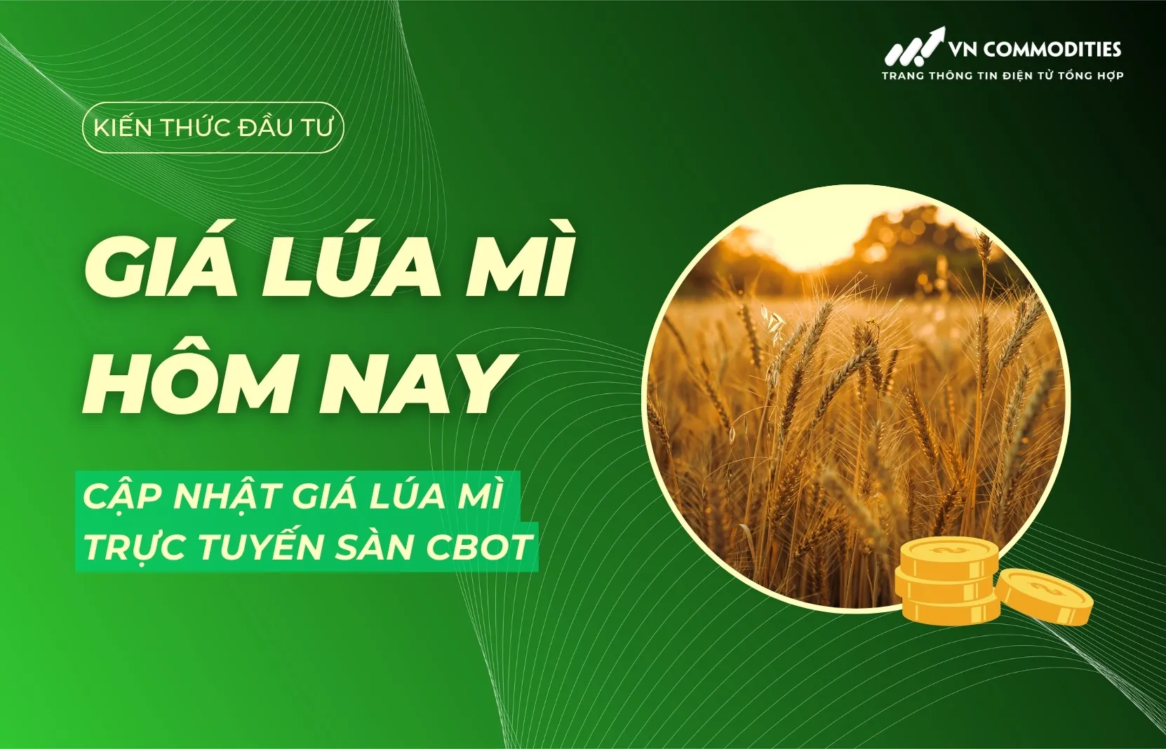 Giá lúa mì hôm nay bao nhiêu? Cập nhật giá lúa mì trực tuyến trên sàn CBOT