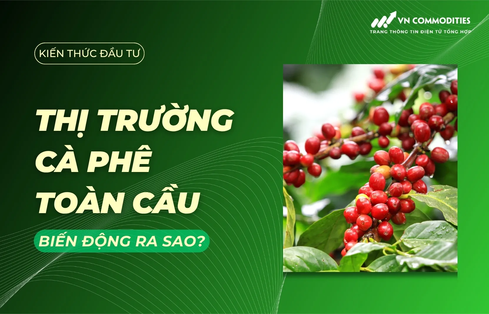 Thị trường cà phê biến động ra sao? Phân tích cung cầu và xu hướng tiêu dùng toàn cầu