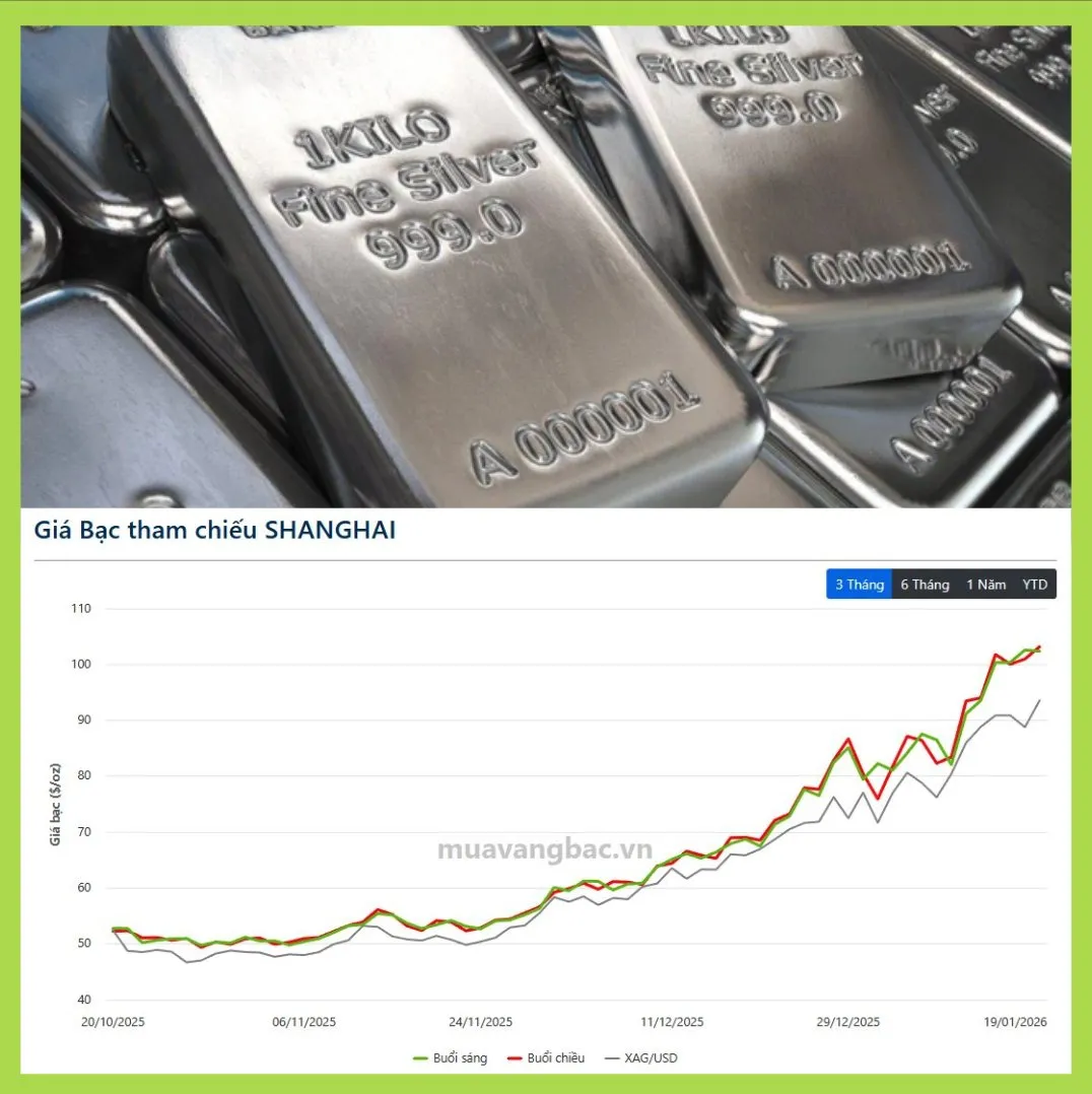 Bạc Trung Quốc “vượt mặt” COMEX: Chênh lệch giá kỷ lục hé lộ cơn khát bạc vật chất toàn cầu