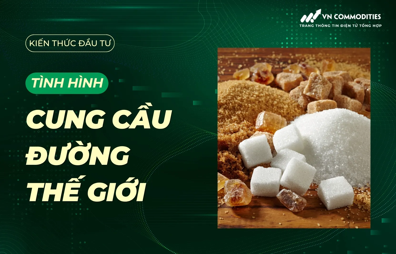 Phân tích cung cầu đường thế giới: Ai đang chi phối thị trường đường toàn cầu?