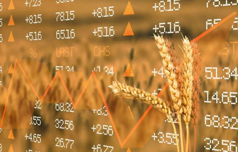 Báo cáo cung - cầu thị trường nông sản (WASDE) tháng 2/2026