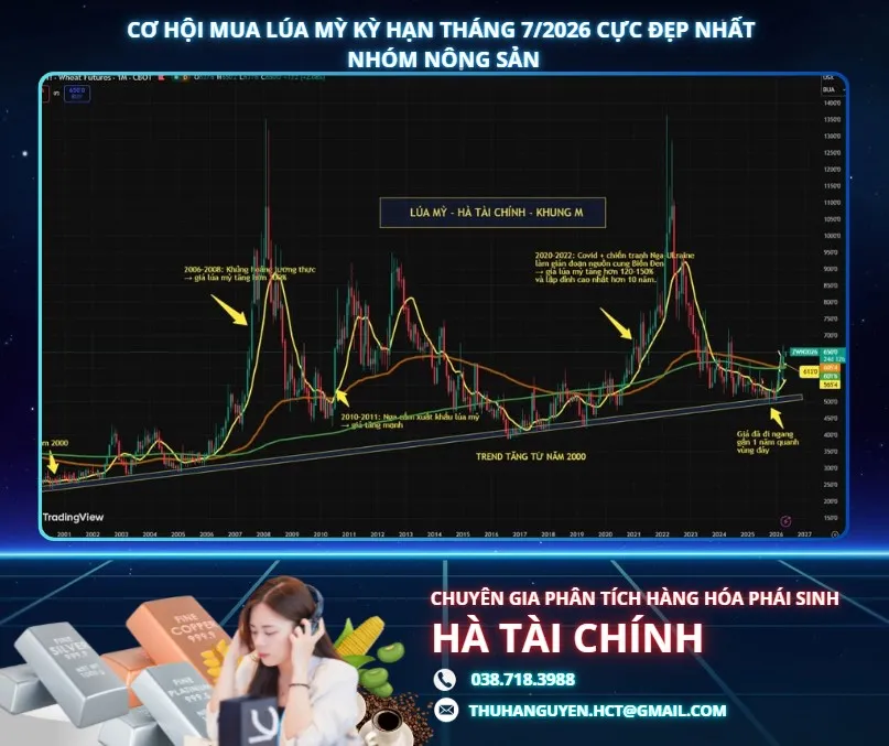 CƠ HỘI MUA LÚA MỲ KỲ HẠN THÁNG 7/2026 CỰC ĐẸP NHẤT NHÓM NÔNG SẢN