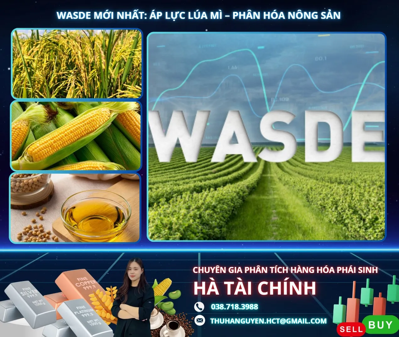 WASDE MỚI NHẤT: ÁP LỰC LÚA MÌ – PHÂN HÓA NÔNG SẢN