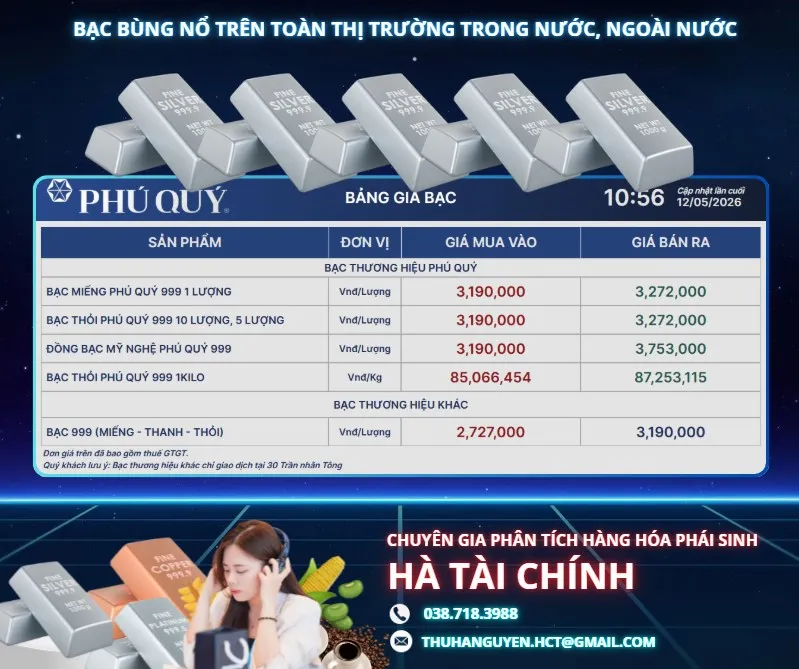 Giá bạc hôm nay tiếp tục tăng mạnh cả trong nước lẫn thế giới [12.05.2026]