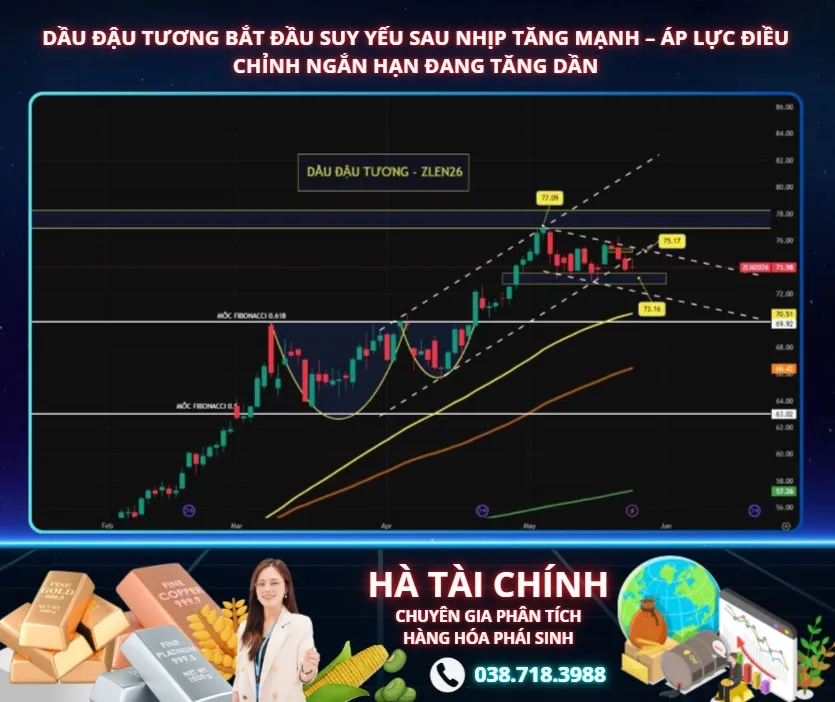 DẦU ĐẬU TƯƠNG BẮT ĐẦU SUY YẾU SAU NHỊP TĂNG MẠNH – ÁP LỰC ĐIỀU CHỈNH NGẮN HẠN ĐANG TĂNG DẦN