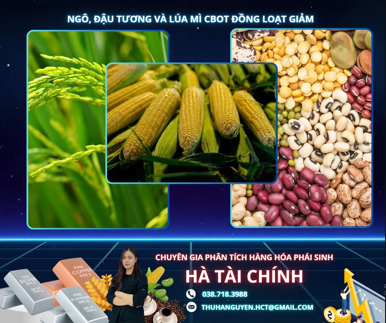 NGÔ, ĐẬU TƯƠNG VÀ LÚA MÌ CBOT ĐỒNG LOẠT GIẢM