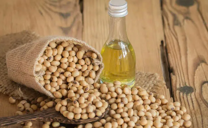 28.10.2025|| ĐẬU TƯƠNG, Cơ hội tăng giá trung hạn đang mở ra trước mắt