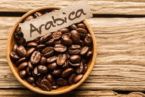 Giá cà phê 17/6: Mưa lớn tại Brazil làm chậm thu hoạch giúp hỗ trợ giá ngắn hạn
