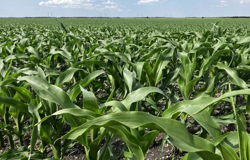 Thị trường nông sản: Điểm nổi bật của chuyến khảo sát Pro Farmer 2025