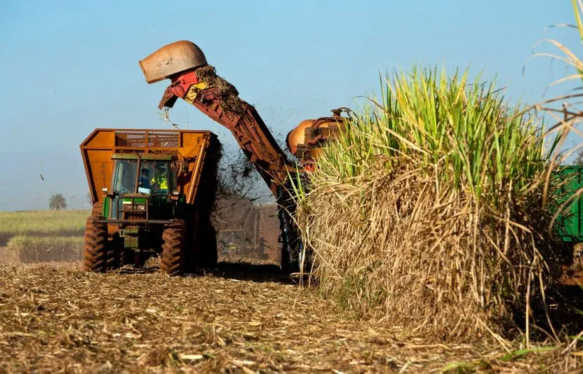 Nguồn cung đường toàn cầu thắt chặt trước rủi ro thời tiết và logistics