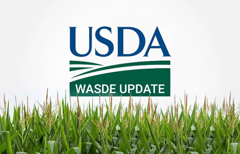 Cập nhật thị trường nông sản sau báo cáo WASDE
