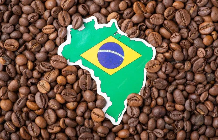 Tình hình thời tiết Brazil: Mưa lớn dịp cận giáng sinh, miền nam ghi nhận lạnh trái mùa