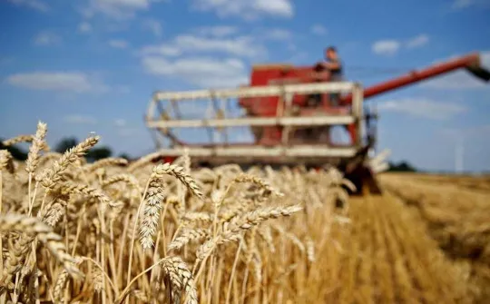 🌾 Dòng Tiền Quay Lại Thị Trường Ngũ Cốc: Tín Hiệu Từ Trung Quốc & Gói Hỗ Trợ 12 Tỷ USD Từ Mỹ