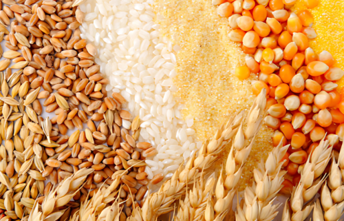 Bản tin Reuters ngày 03/03/2026