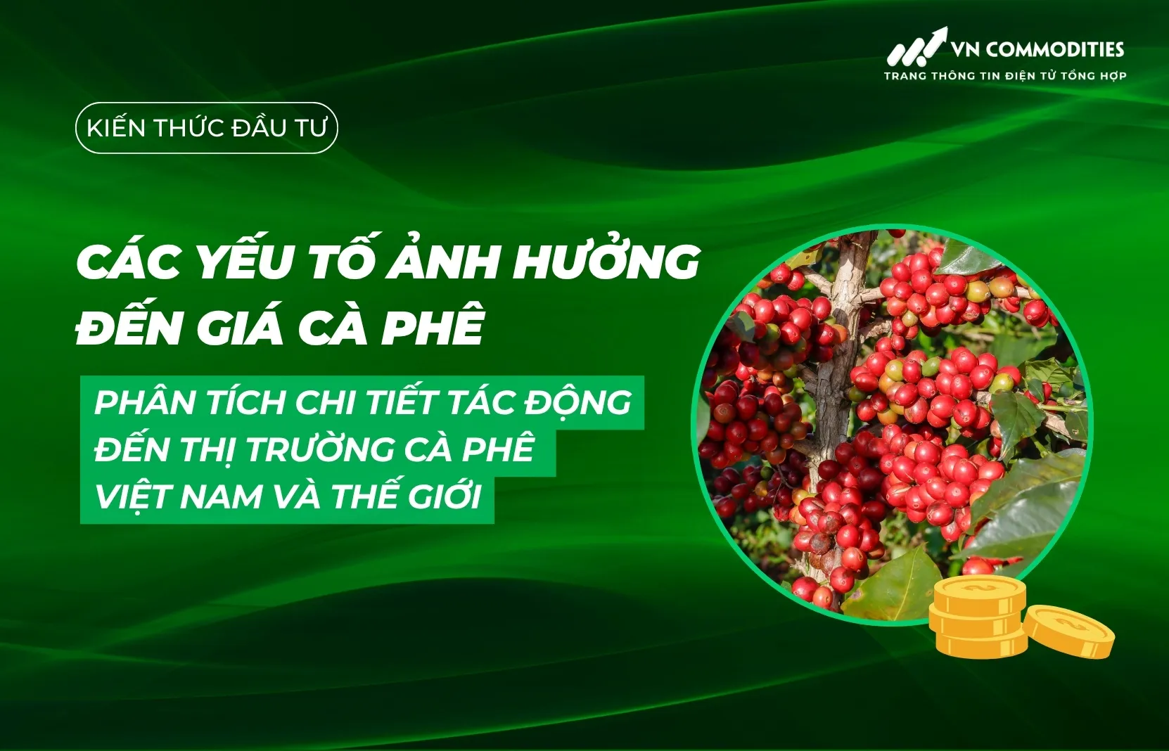 Các yếu tố ảnh hưởng đến giá cà phê: Phân tích chi tiết tác động đến thị trường cà phê Việt Nam và thế giới