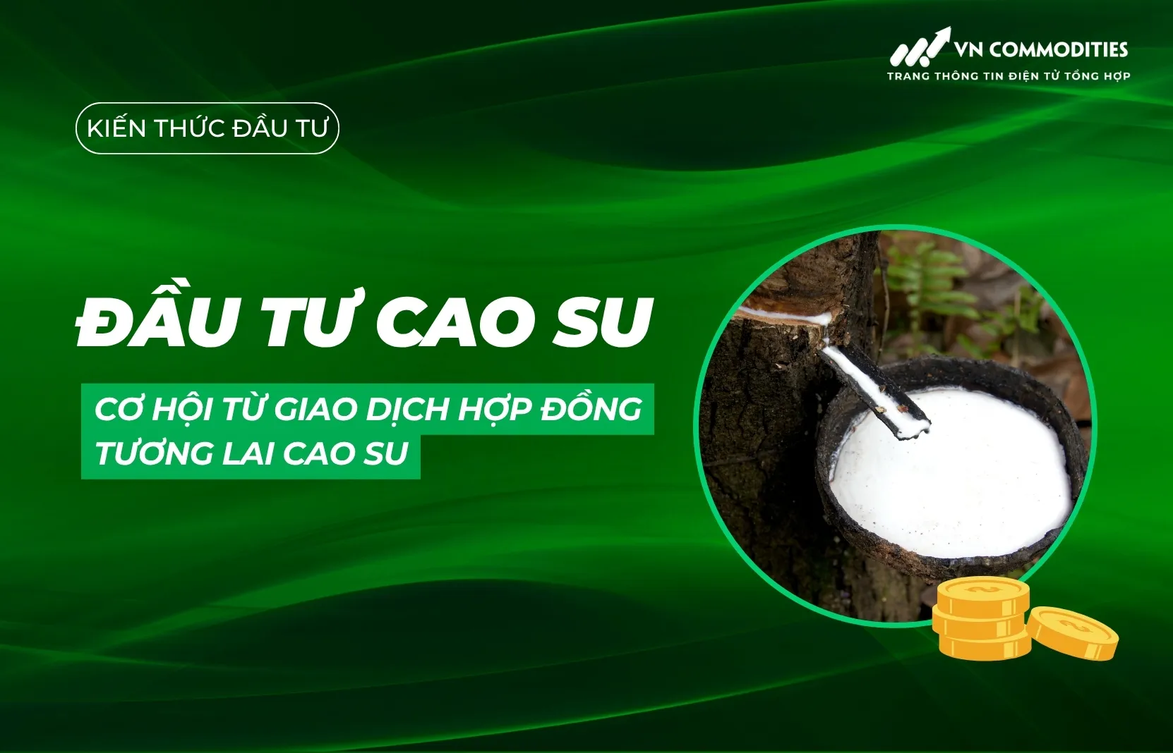 Đầu tư cao su: Cơ hội từ giao dịch hợp đồng tương lai cao su