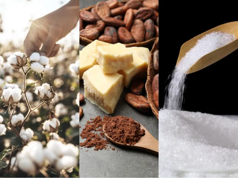 Nguyên liệu công nghiệp 10/4: Trung Quốc tăng cầu Bông, áp lực bủa vây giá Đường và Ca cao