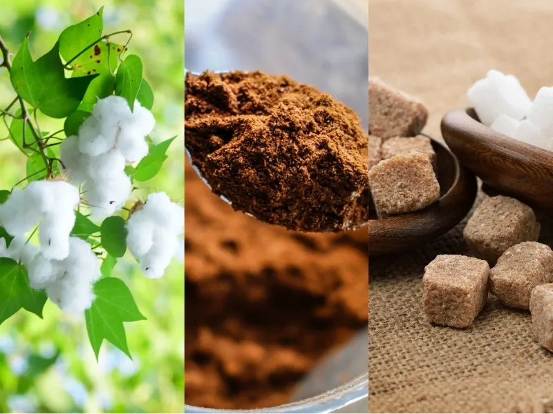 Nguyên liệu 19/5: Thỏa thuận thương mại định hình giá Bông và áp lực phân bón bủa vây Đường, Ca cao