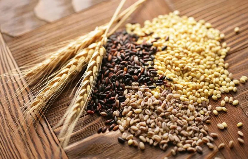 Báo cáo thị trường nông sản tháng 3/2026