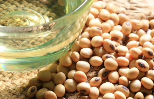 Giá đậu tương tiếp tục tăng vào thứ 6 do lo ngại về tình trạng khô hạn tại Nam Mỹ