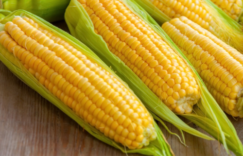 Thị trường nông sản 18/12: Lúa mì giảm vì nguồn cung dư thừa, đậu tương chịu áp lực cạnh tranh Brazil, ngô được hỗ trợ bởi ethanol