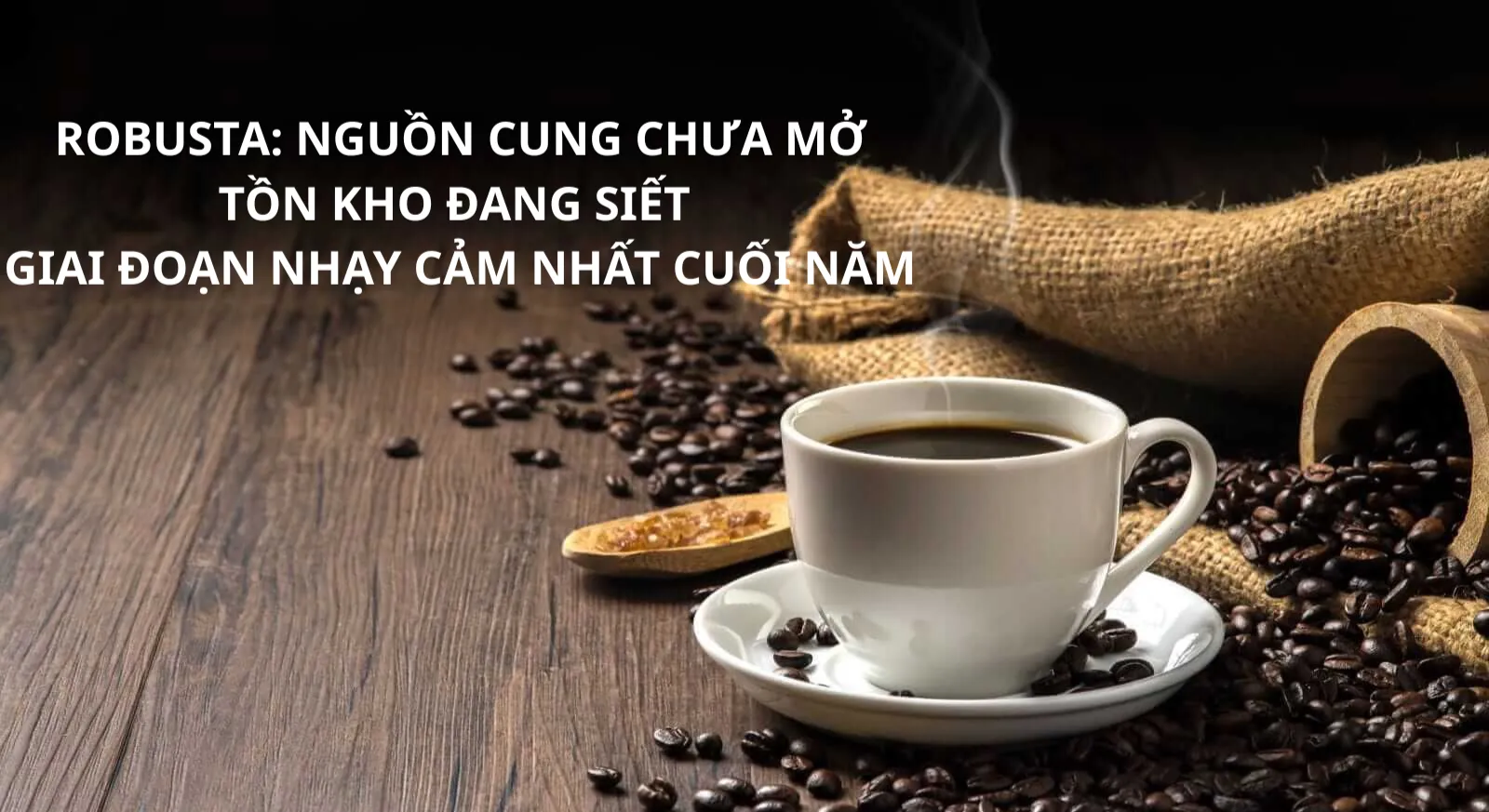 ROBUSTA: NGUỒN CUNG CHƯA MỞ, TỒN KHO ĐANG SIẾT – GIAI ĐOẠN NHẠY CẢM NHẤT CUỐI NĂM
