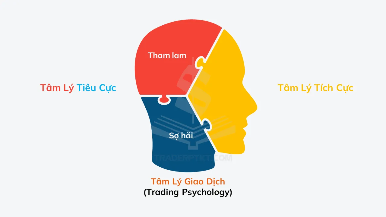 🧘 GIAO DỊCH LÀ CUỘC CHIẾN THÂN TÂM: TẠI SAO GIỎI KỸ THUẬT VẪN CHƯA ĐỦ ĐỂ THÀNH CÔNG?