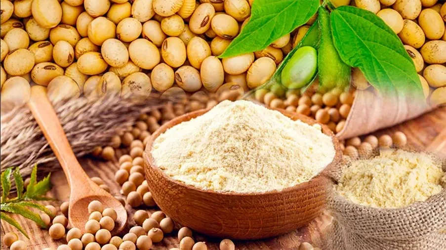 Giá Đậu Tương Trước Thềm USDA: Áp Lực Giảm Nhưng Tiềm Ẩn Bứt Phá